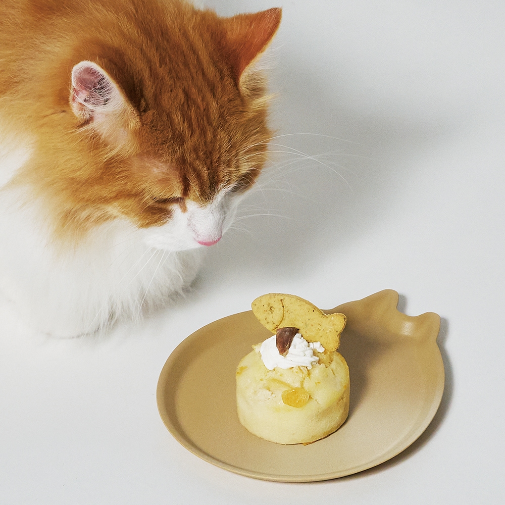 AmiDish CatDish CatPlate 割れないお皿 取り皿 猫のケーキ皿 ネコ ねこ