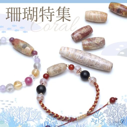 �����ý������󥹥��饤�ֳ���