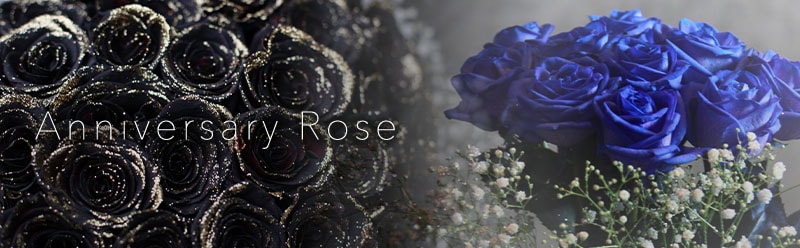 ���˥С����꡼������