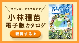 カタログ資料