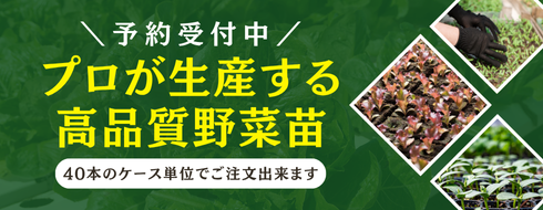 野菜の種や苗｜小林種苗公式通販】日本最大級の2万種類の豊富な品揃え