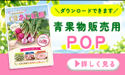 青果物販売用POP