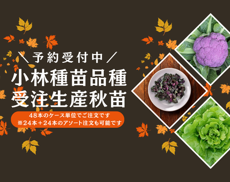 野菜の種　仮 野菜の種や苗｜小林種苗公式通販】日本最大級の2万種類の豊富な品揃え
