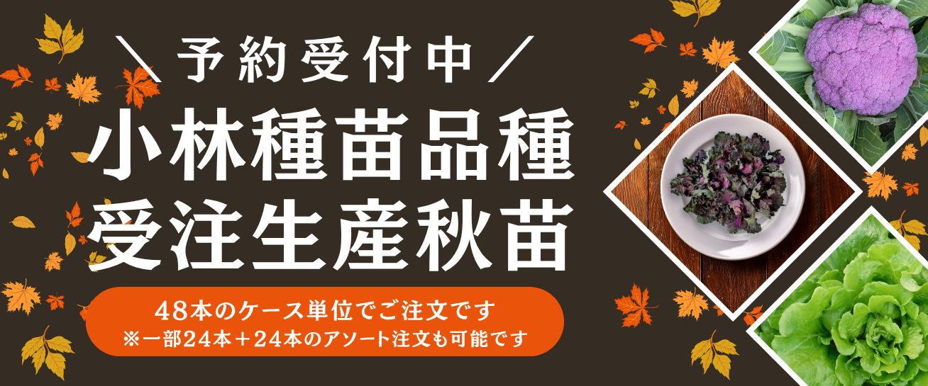 お客様お問い合わせ、野菜苗注文承ります。 お客様お問い合わせ、野菜苗注文承ります。 【公式通販】