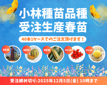 予約受付中　プロが生産する　受注生産秋苗