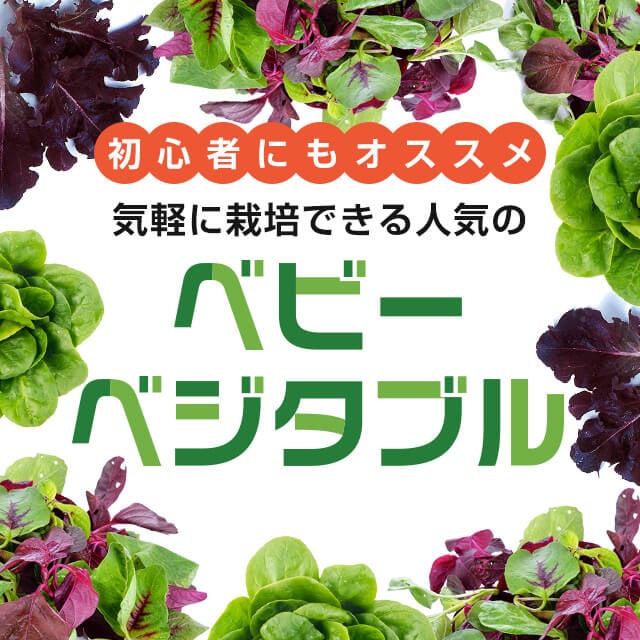野菜の種や苗の通信販売】日本最大級の2万種類の豊富な品揃え