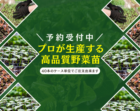 野菜の種や苗｜小林種苗公式通販】日本最大級の2万種類の豊富な品揃え