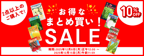 まとめ買いSALE