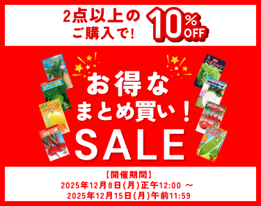 まとめ買いSALE