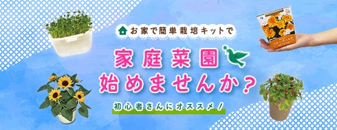 居宅で簡単人文キットで家庭家庭菜園始めませんか？