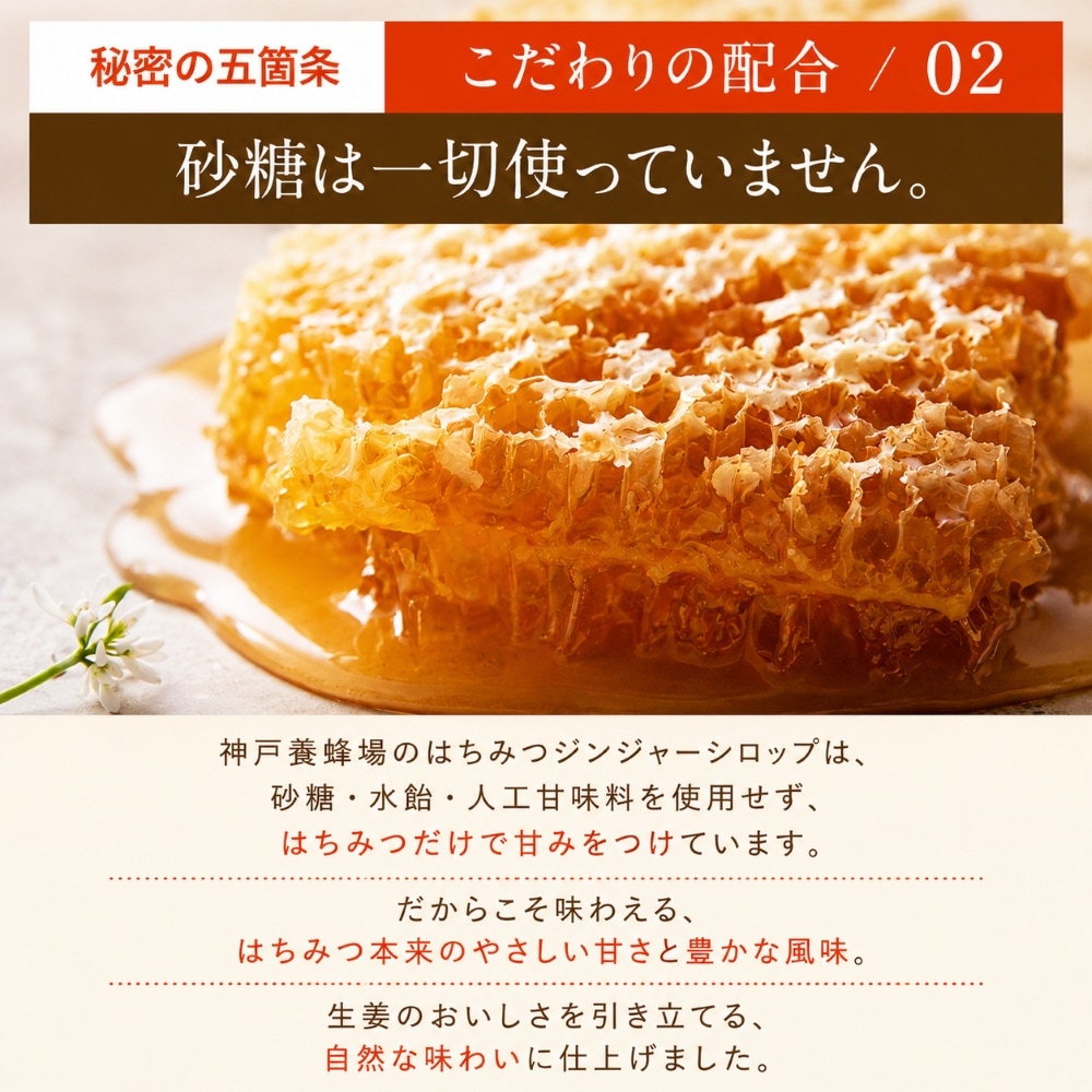 無添加・無着色のはちみつジンジャーシロップ