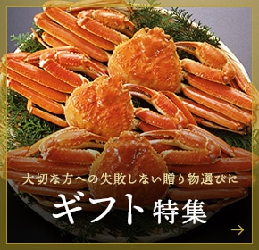ギフト特集