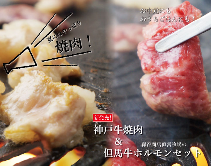 お中元ギフト 神戸牛焼肉 但馬牛ホルモンセット 希少なホルモン