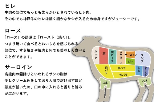 部位別で選ぶ高級肉のおすすめ