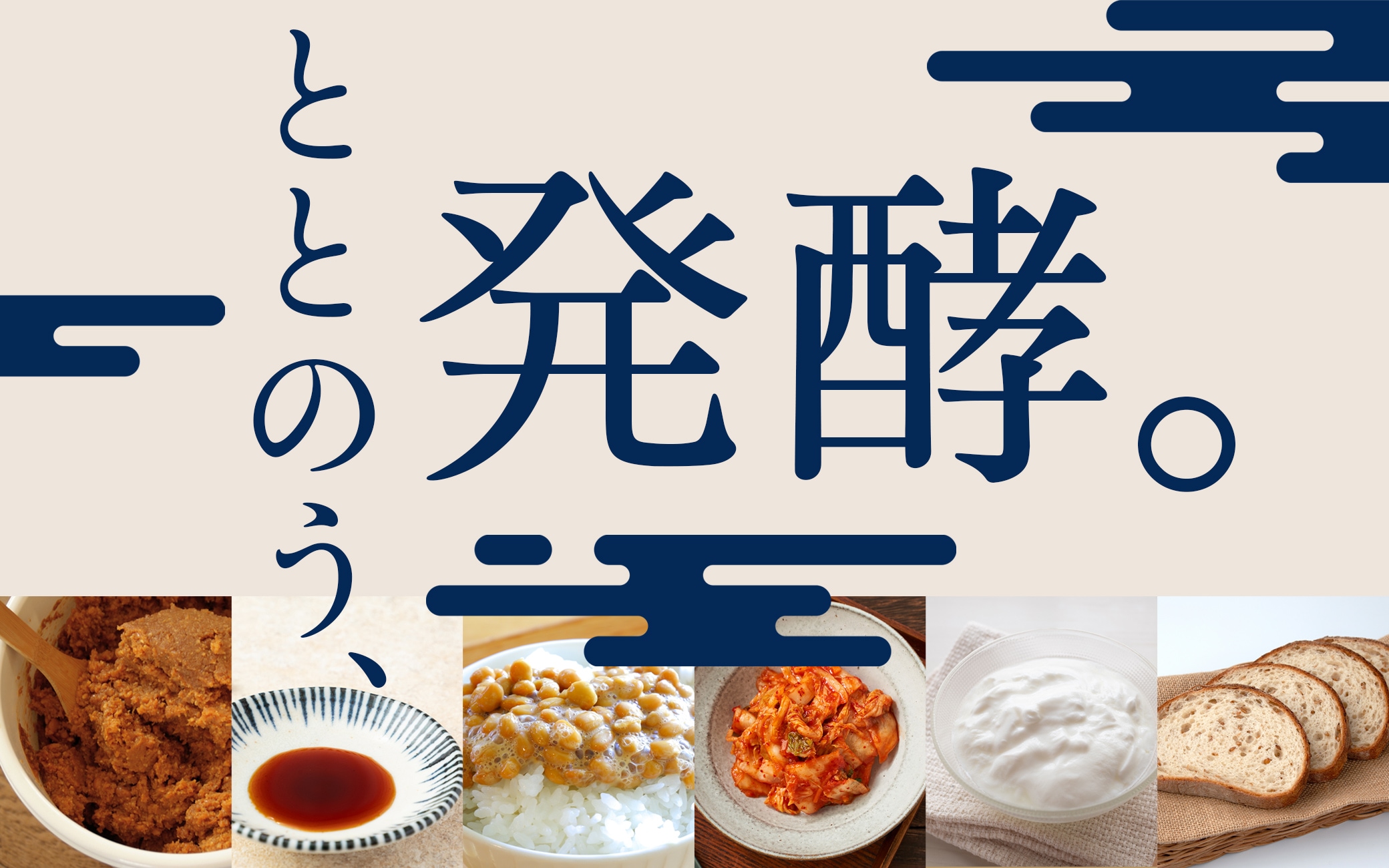 発酵特集