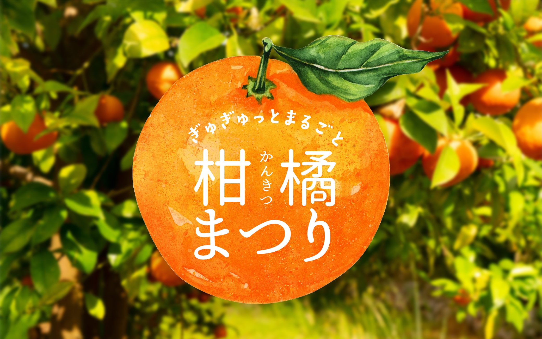 かんきつまつり