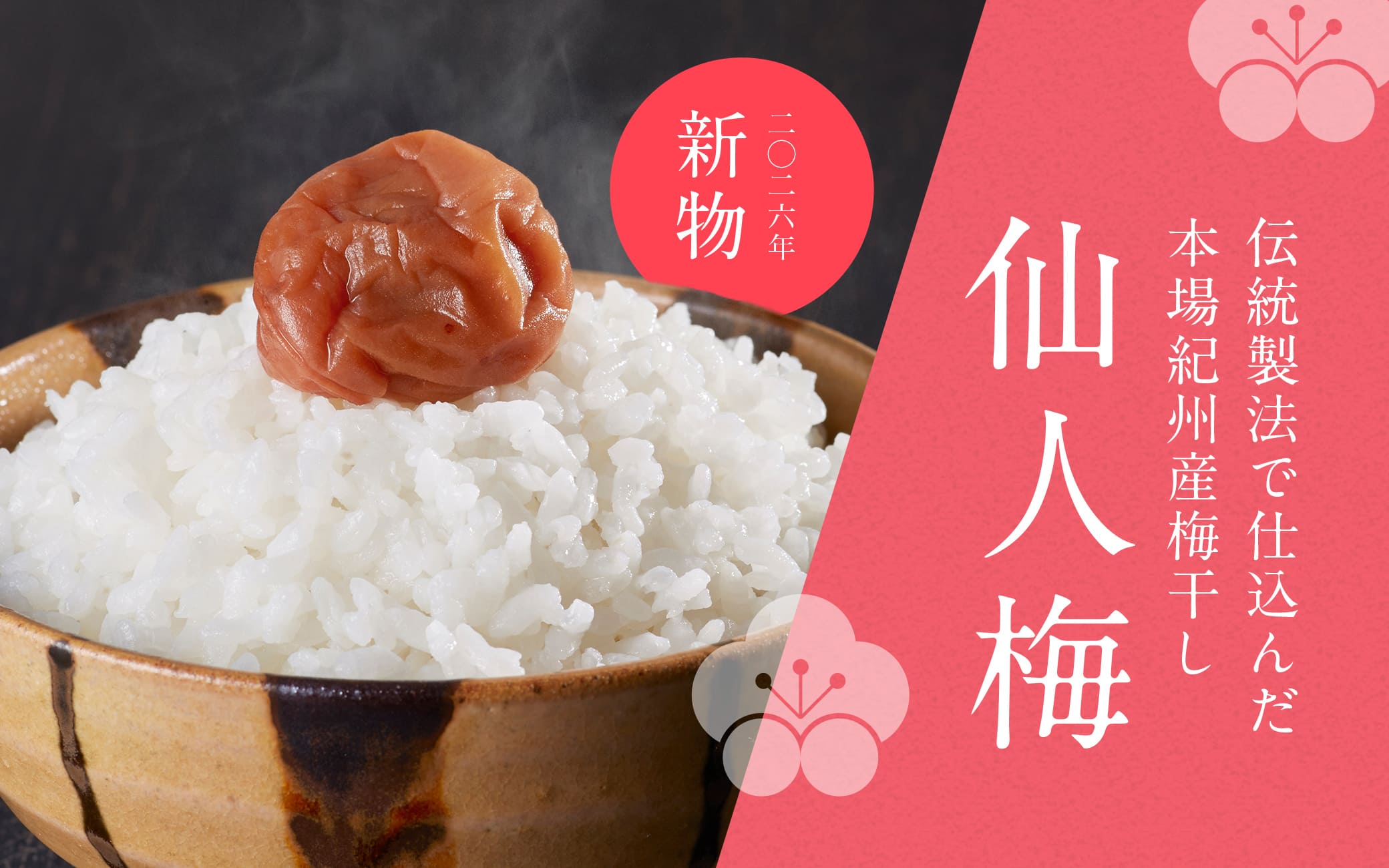 仙人梅特集