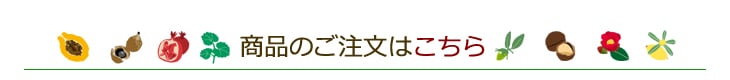 商品はこちら