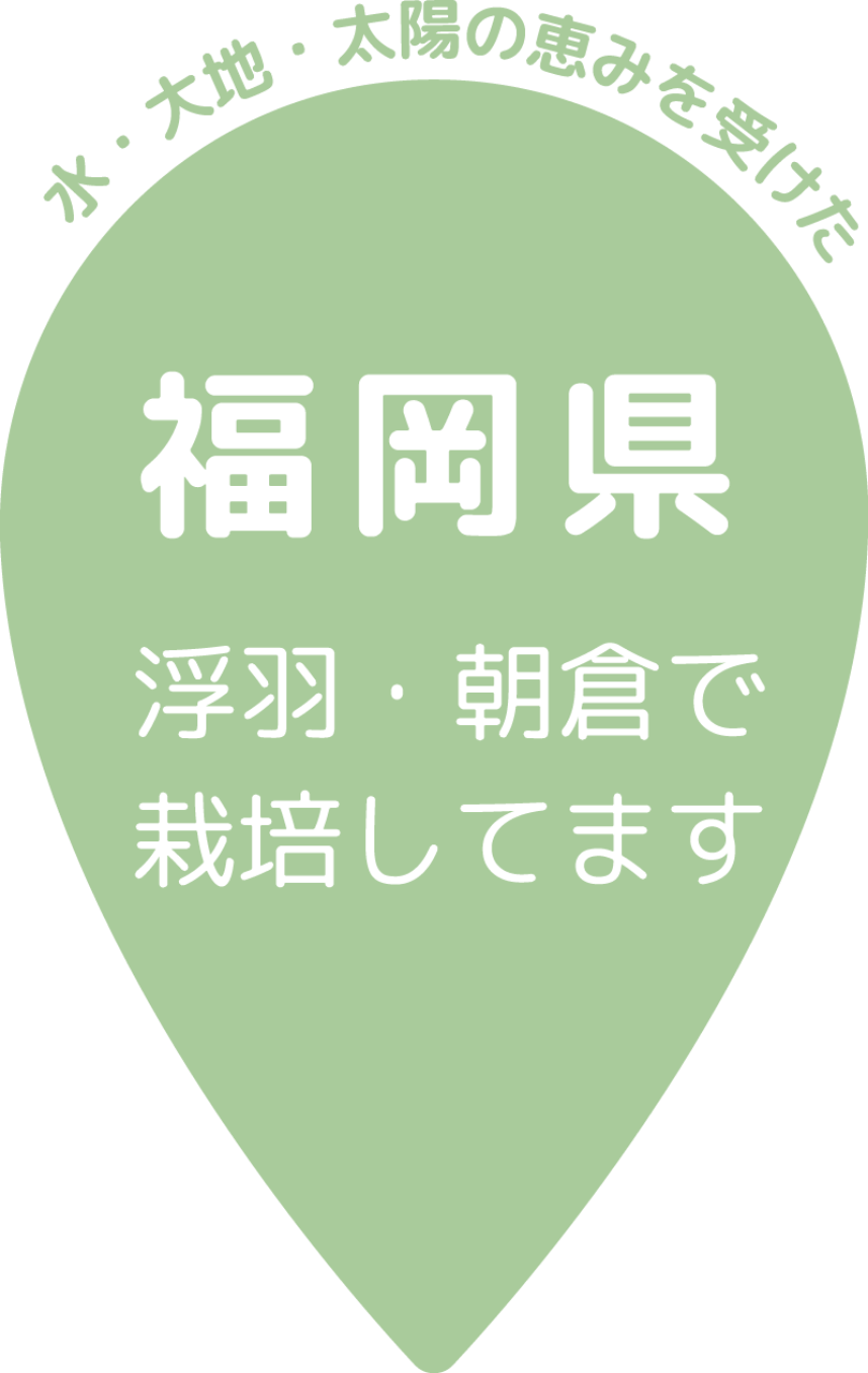 水・大地・太陽の恵みを受けた福岡県浮羽・朝倉で栽培してます