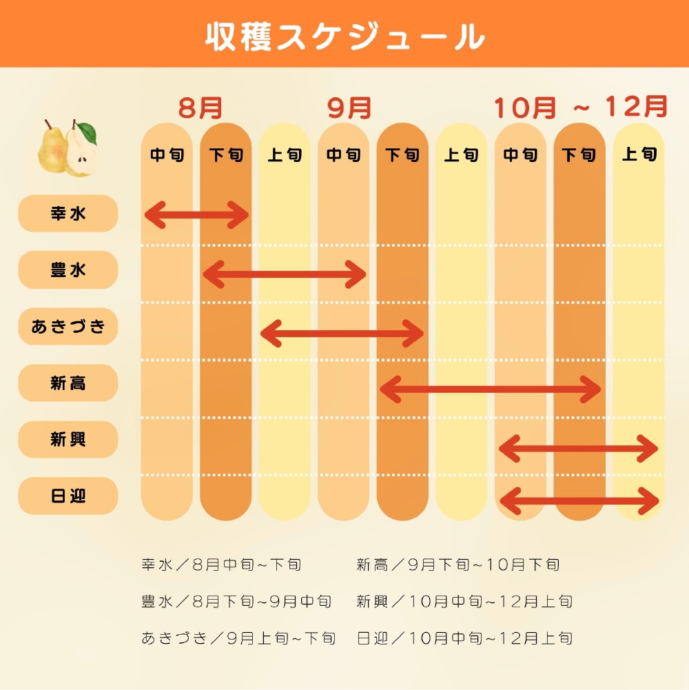 収穫スケジュール