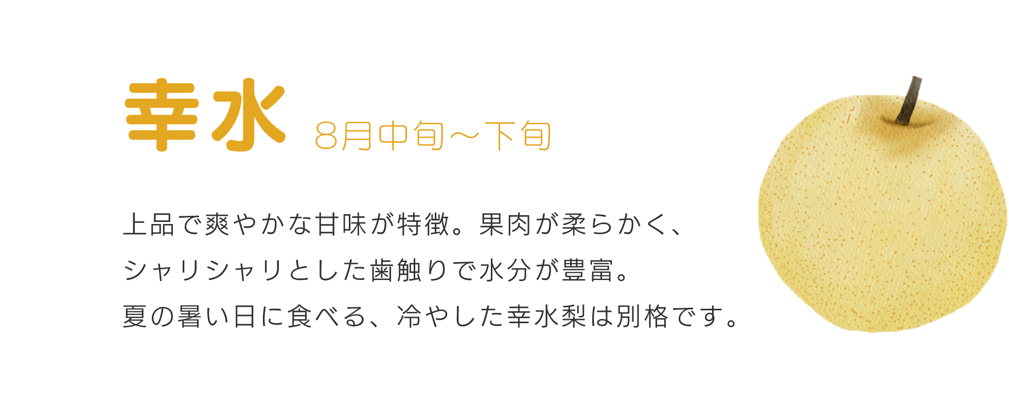 幸水8月中旬～下旬上品で爽やかな甘味が特徴。果肉が柔らかく、シャリシャリとした歯触りで水分が豊富。夏の暑い日に食べる、冷やした幸水梨は別格です。