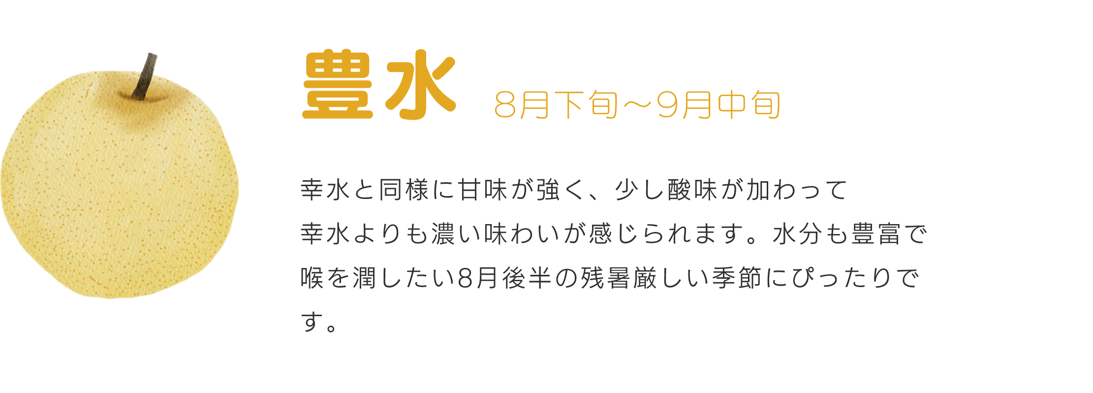 豊水8月下旬～9月中旬幸水と同様に甘味が強く、少し酸味が加わって幸水よりも濃い味わいが感じられます。水分も豊富で喉を潤したい8月後半の残暑厳しい季節にぴったりです。