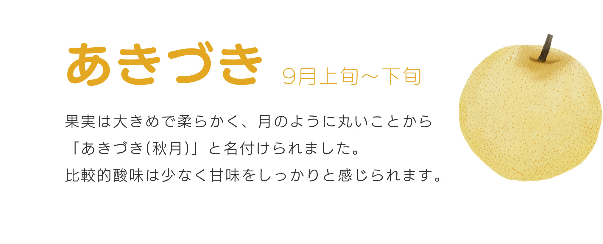 あきづき9月上旬～下旬果実は大きめで柔らかく、月のように丸いことから秋月と名付けられました。比較的酸味は少なく甘味をしっかりと感じられます。