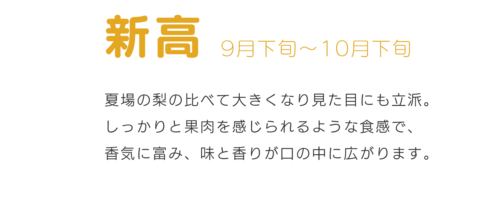 新高9月下旬～10月下旬夏場の梨の比べて大きくなり見た目にも立派。しっかりと果肉を感じられるような食感で、香気に富み、味と香りが口の中に広がります。