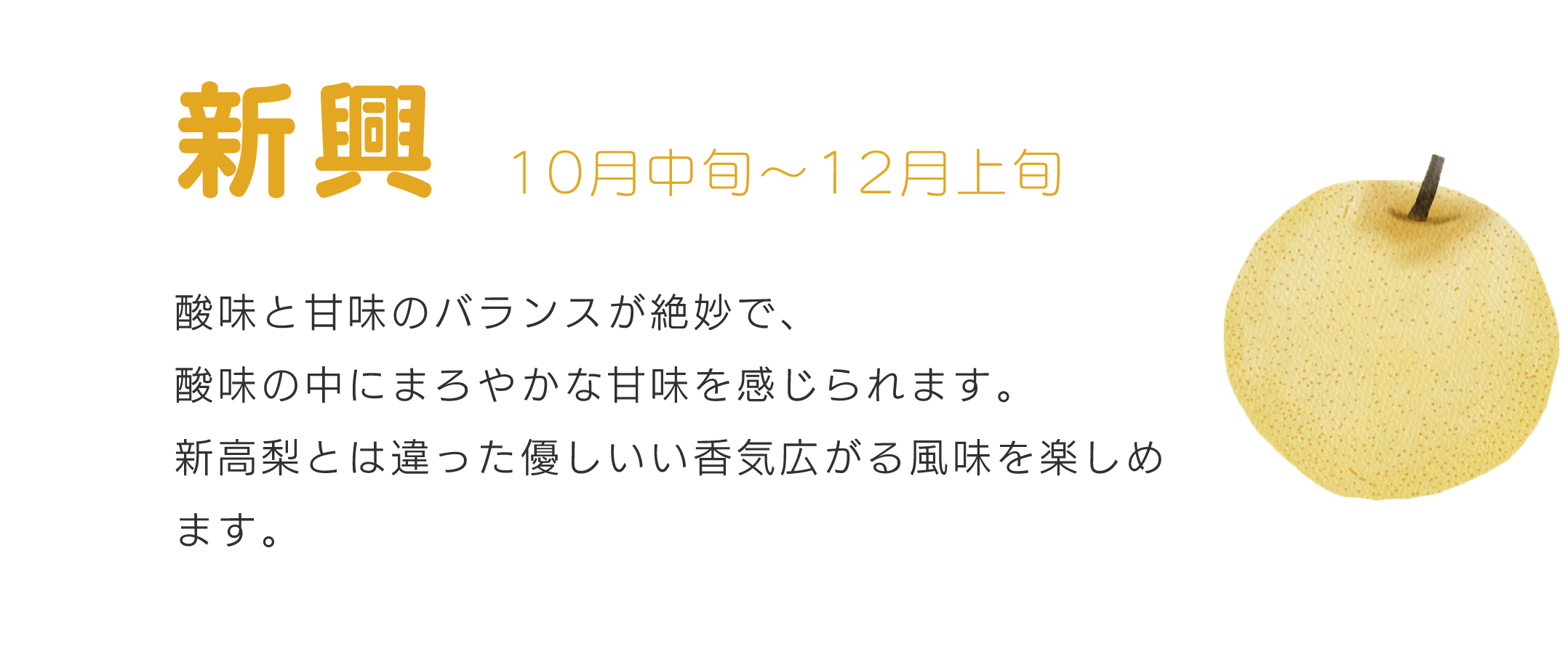 新興10月中旬～12月酸味と甘味のバランスが絶妙で、酸味の中にまろやかな甘味を感じられます。新高梨とは違った優しいい香気広がる風味を楽しめます。