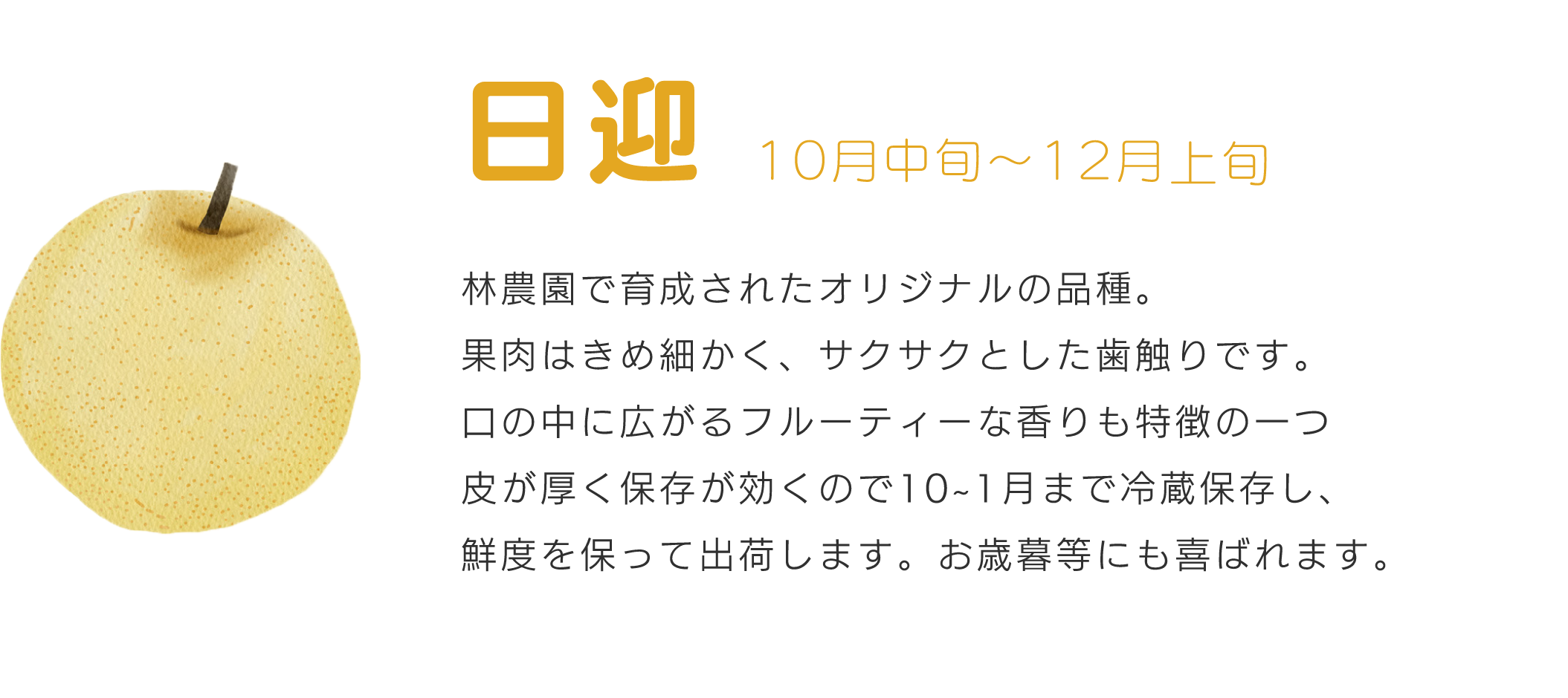 日迎10月中旬～12月林農園で育成されたオリジナルの品種。果肉はきめ細かく、サクサクとした歯触りです。口の中に広がるフルーティーな香りも特徴の一つ皮が厚く保存が効くので10~1月まで冷蔵保存し、鮮度を保って出荷します。お歳暮等にも喜ばれます。