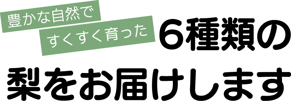 豊かな自然ですくすく育った６種類の梨をお届けします