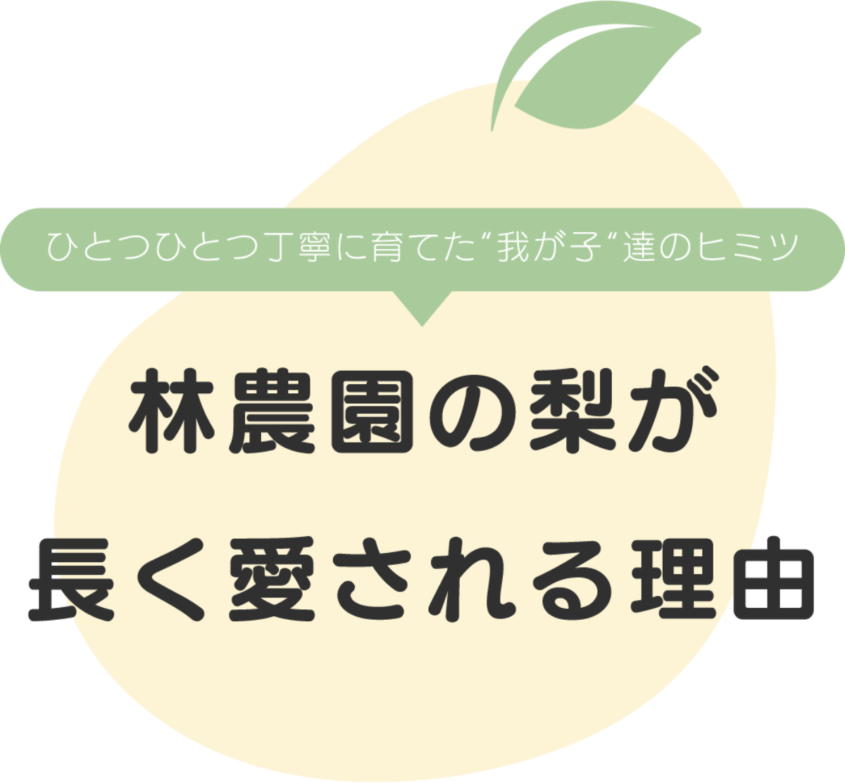 ひとつひとつ丁寧に育てた“我が子“達のヒミツ林農園の梨が長く愛される理由