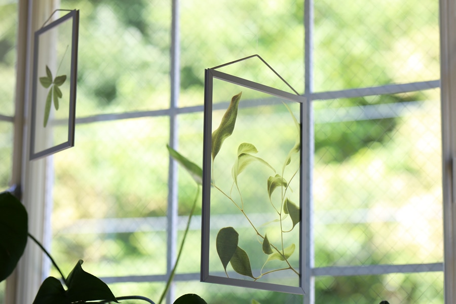 ペーパーコレクティブ Floating Leaves フローティングリーブス