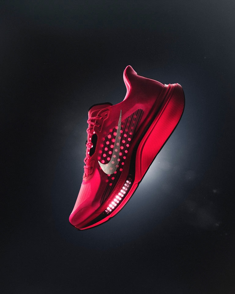ナイキ ペガサス プラス 2 NIKE PEGASUS PLUS 2 メンズ ロード