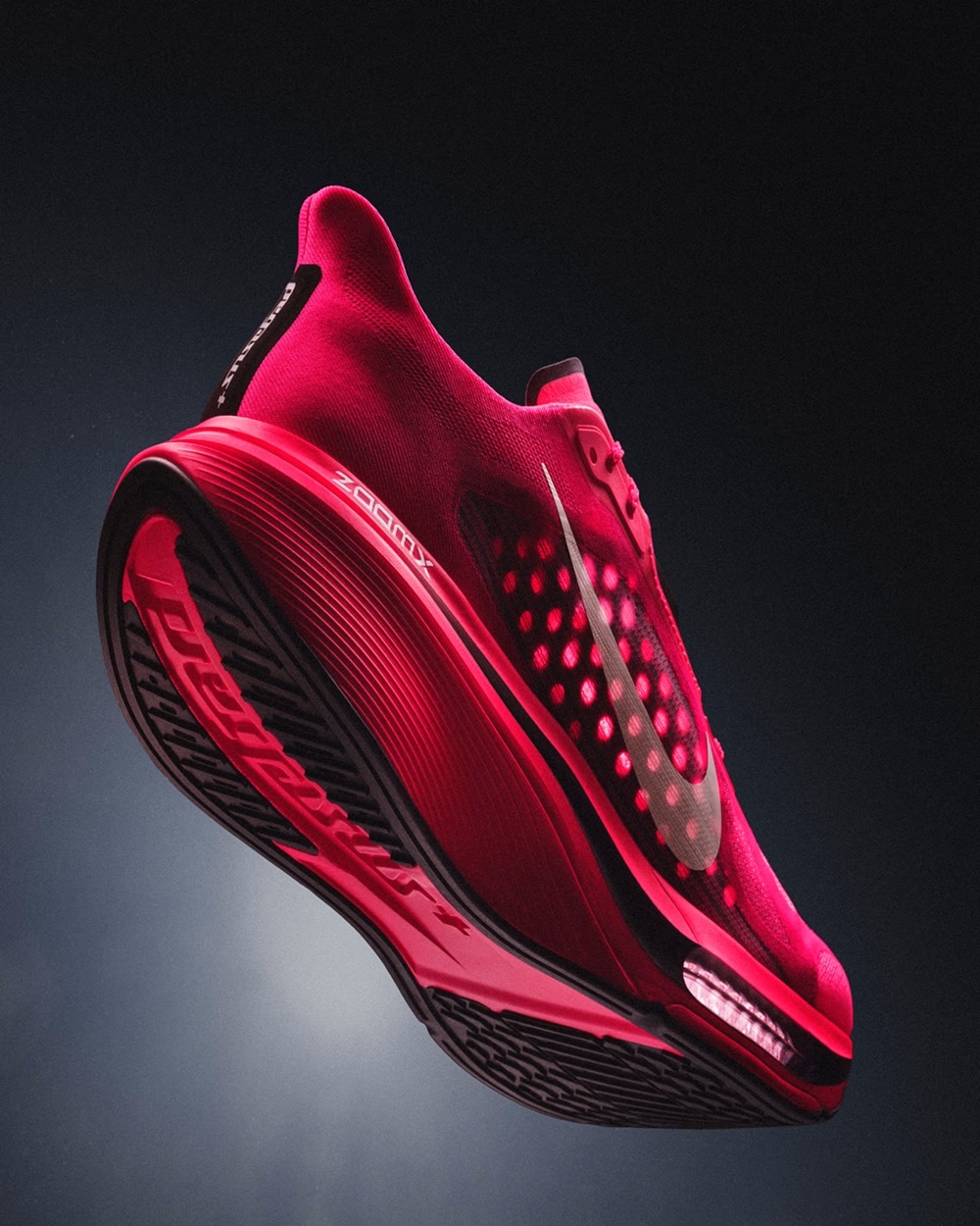 ナイキ ペガサス プラス 2 NIKE PEGASUS PLUS 2 ウィメンズ ロード