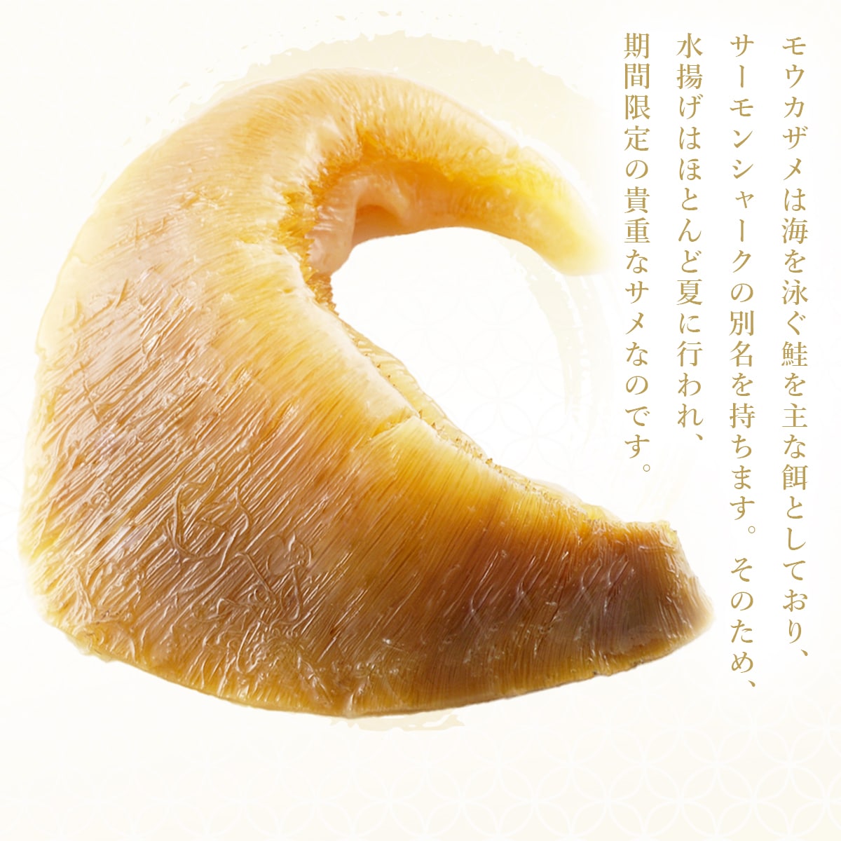 �⥦������ϳ���ˤ������ʱ¤Ȥ��Ƥ��ꡢ������󥷥㡼������̾������ޤ���