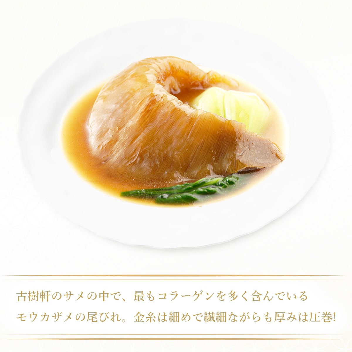 �ż����Υ������ǡ��Ǥ⥳�顼�����¿���ޤ�Ǥ���⥦����������Ӥ졣���Ϻ٤�����٤ʤ������ߤϰ���!
