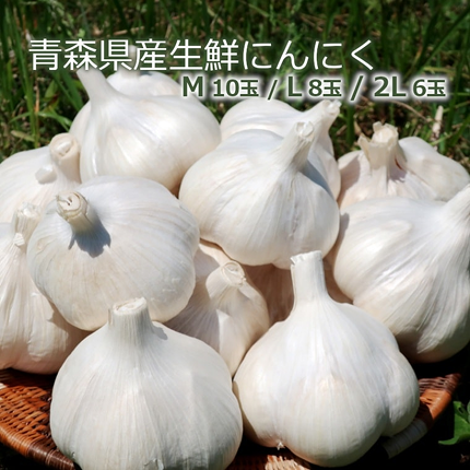 青森県産にんにく（生鮮）/A品　約500g!