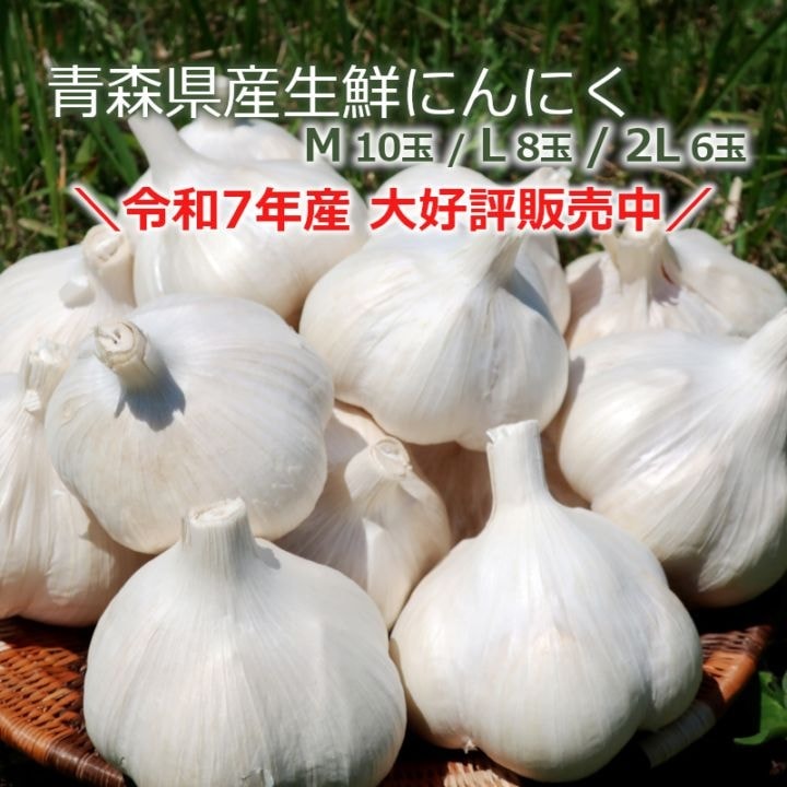 青森県産にんにく（生鮮）A品　＊L 8玉（約500g）