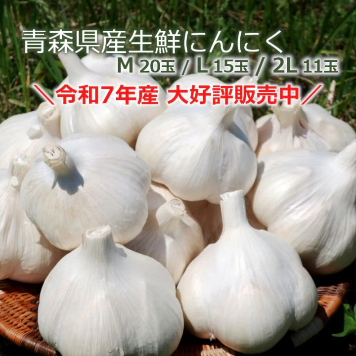 青森県産にんにく（生鮮）A品 　＊L 15玉（約1kg）
