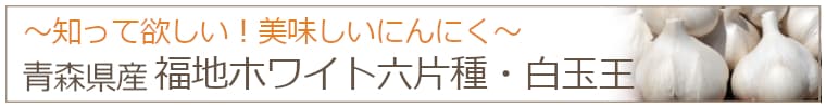 知って欲しい！美味しいにんにく・福地ホワイト六片種・白玉王