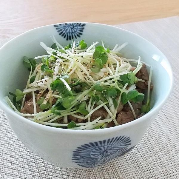 おとなの牛丼