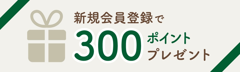 新規会員登録で300ポイントプレゼント