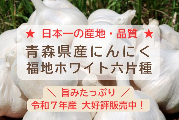 令和7年産青森県産にんにく