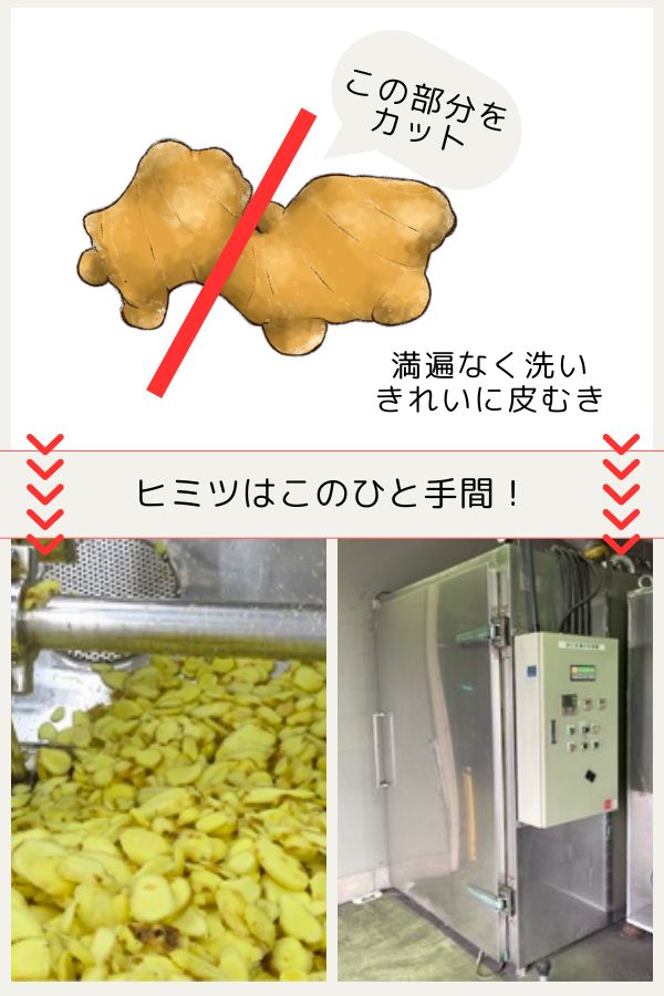 しょうがパウダー製造