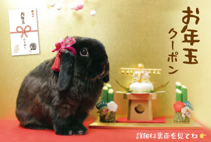We Love Bunny1
