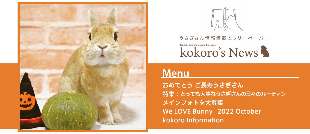 うさぎ用品とうさぎケアの専門店ココロのおうち