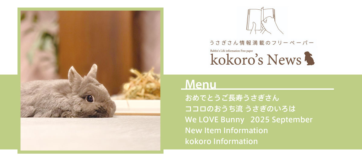 うさぎ様 専用ページ うさぎ様♡専用ページ うさぎ お客様の2件商品専用 花*うさぎさま