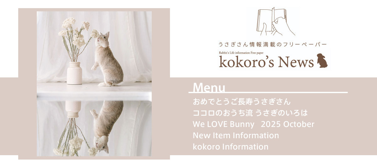 kokoco様専用ページ ☆ココロ様専用☆ kokoro様専用 専用◇ココロ様 kokoco様専用ページ ☆ココロ様専用☆ kokoro様専用 専用◇ココロ様