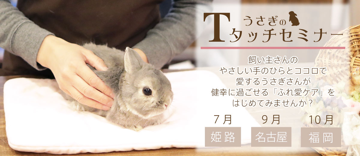 Tタッチセミナー